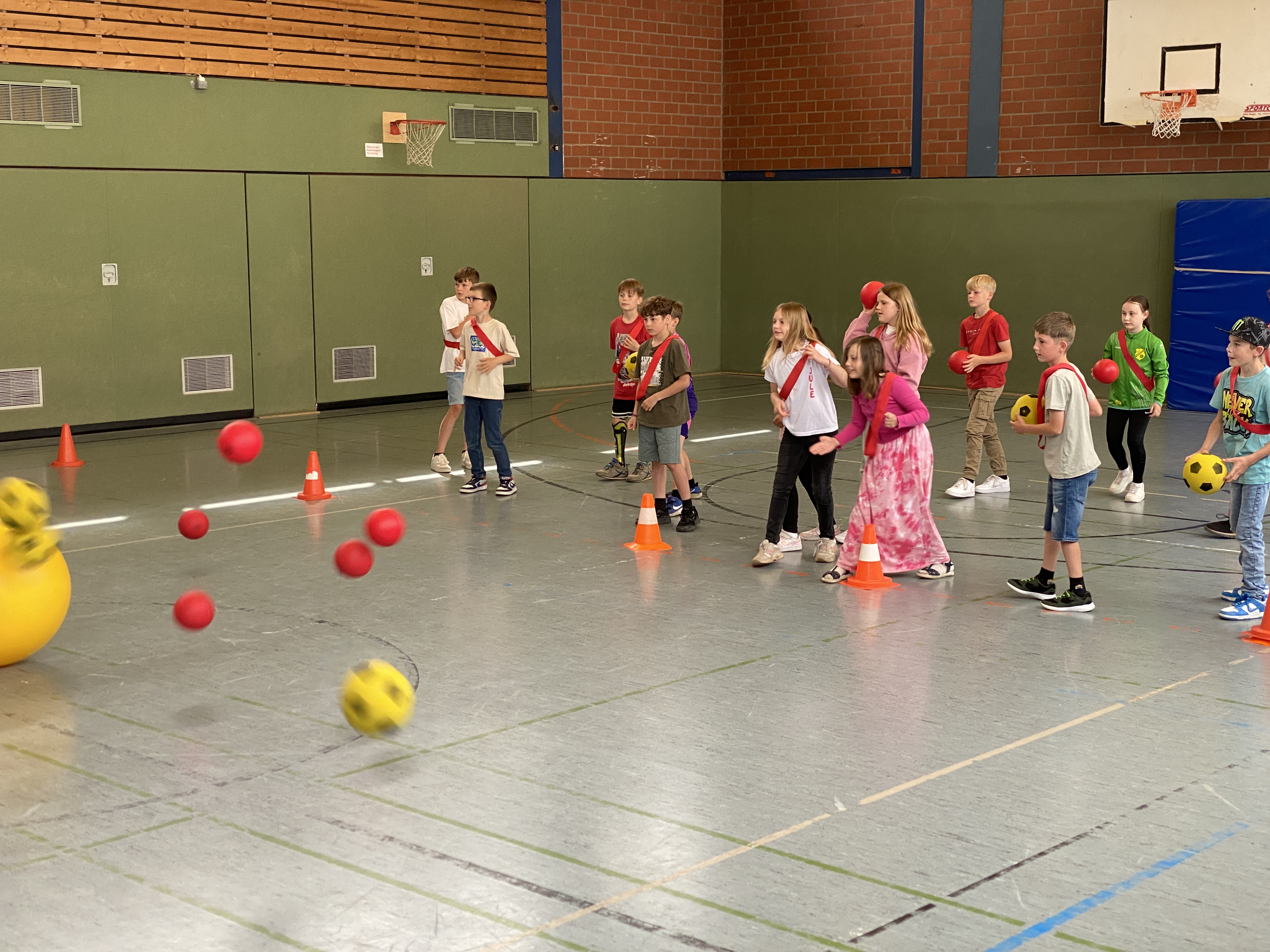 Ein sportliches wie amüsantes erstes Kennenlernen beim Treibball in der Sporthalle.